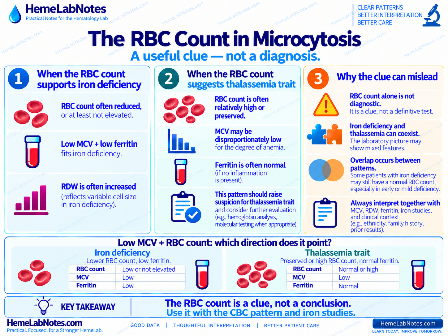 How RBC count can help distinguish an iron-deficiency pattern from a thalassemia-trait pattern in microcytosis.