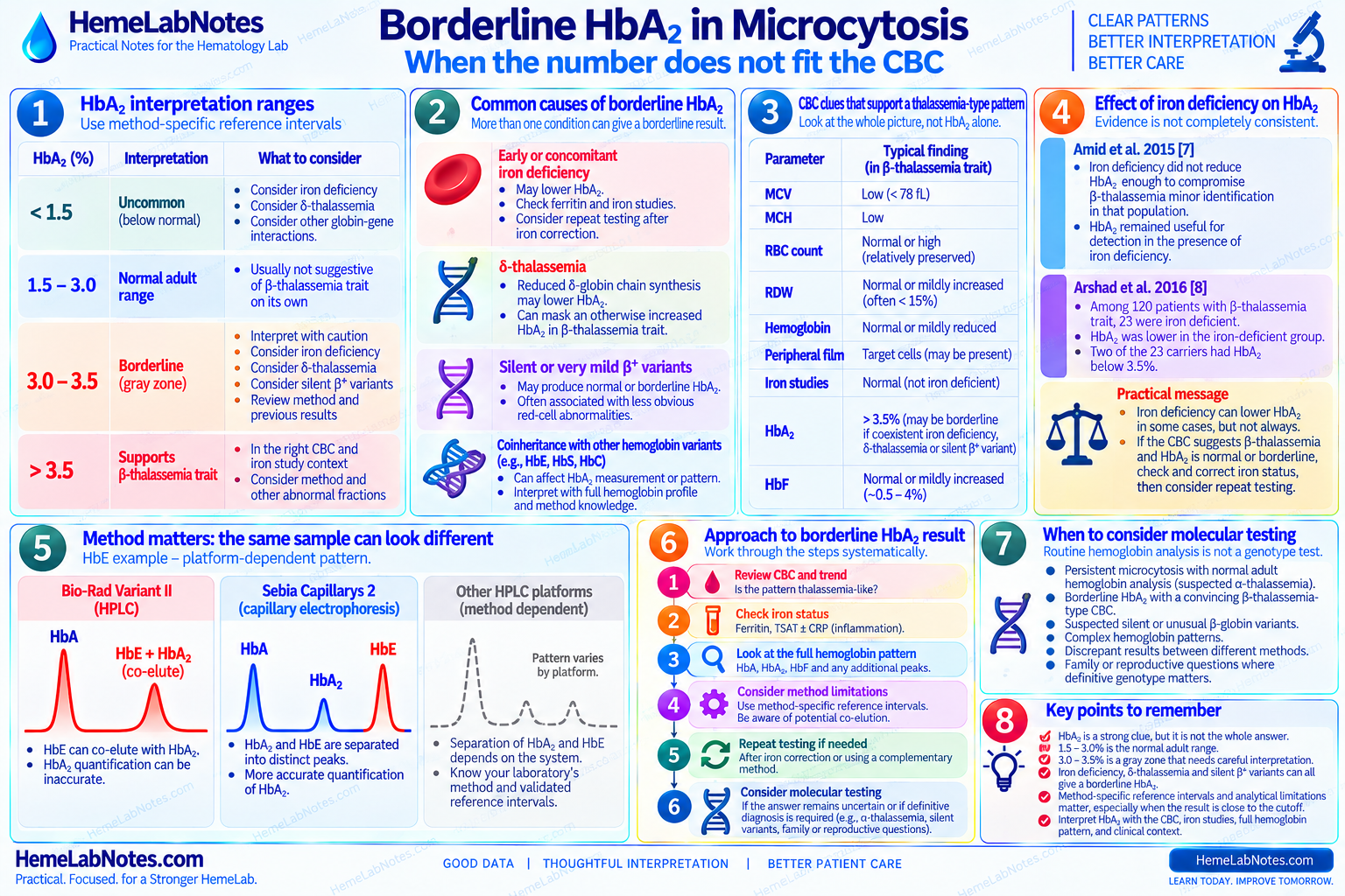 Borderline HbA2 interpretation in microcytosis showing CBC clues, iron deficiency, delta-thalassemia, silent beta variants, method-specific HbE separation, repeat testing, and indications for molecular analysis.