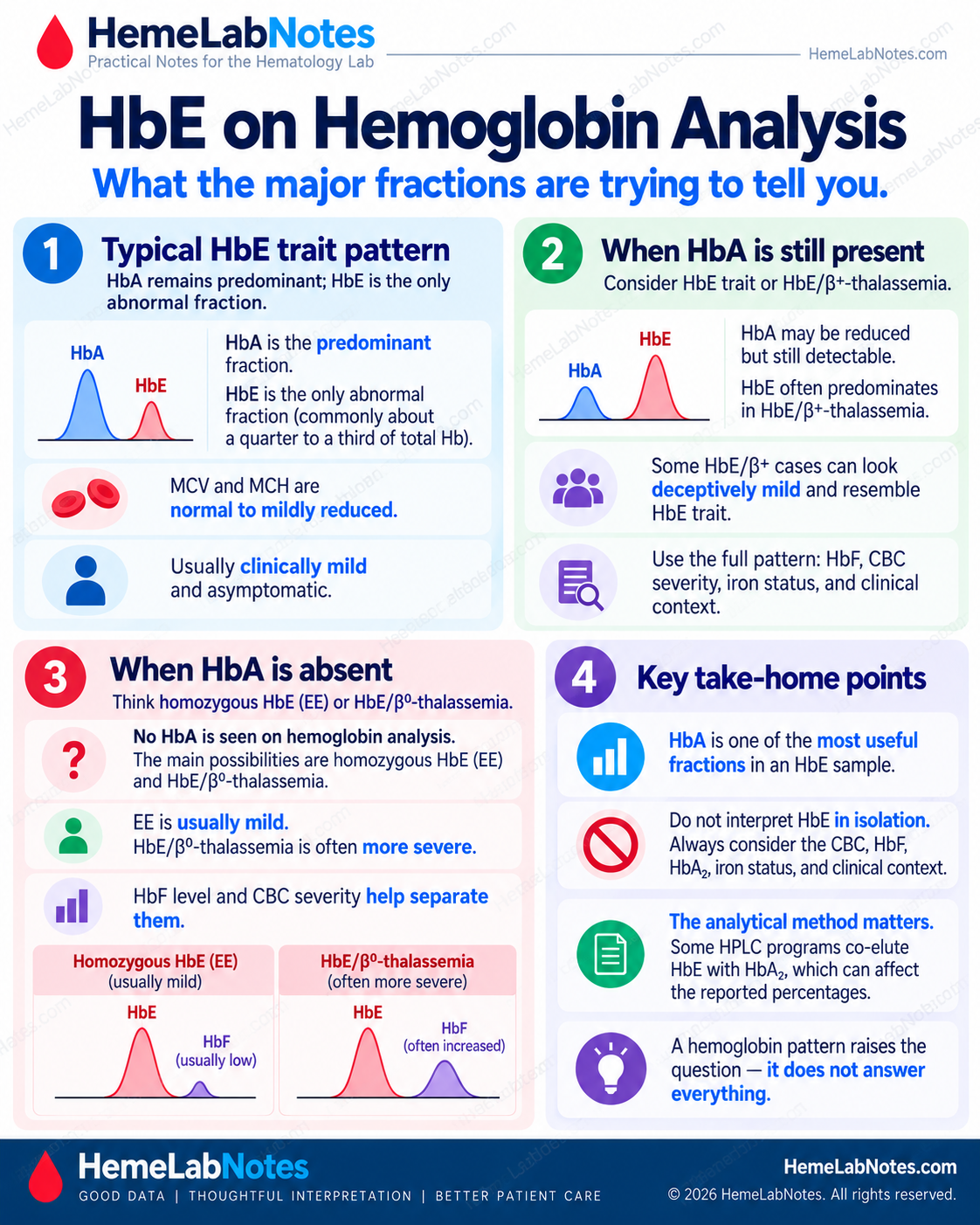 Illustrative HbE hemoglobin analysis patterns showing predominant HbA in simple HbE trait, possible HbA retention in HbE/beta-plus thalassemia, and the distinction between homozygous HbE and HbE/beta-zero thalassemia when HbA is absent.