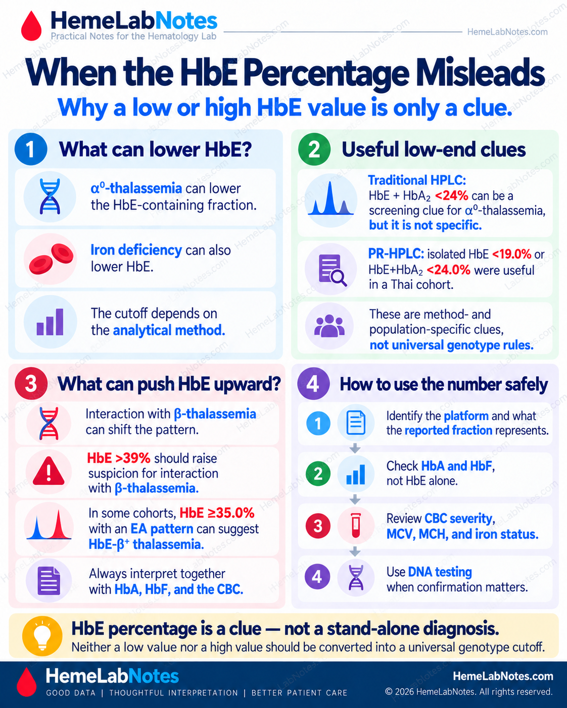 HbE percentage interpretation infographic comparing reduced HbE fractions associated with alpha-zero thalassemia or iron deficiency and increased HbE fractions suggesting beta-thalassemia interaction, with method-specific screening thresholds and a practical interpretation sequence.