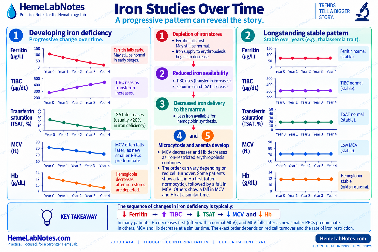 Progression of iron deficiency over time showing falling ferritin, increasing TIBC, decreasing transferrin saturation, and later changes in MCV and hemoglobin.