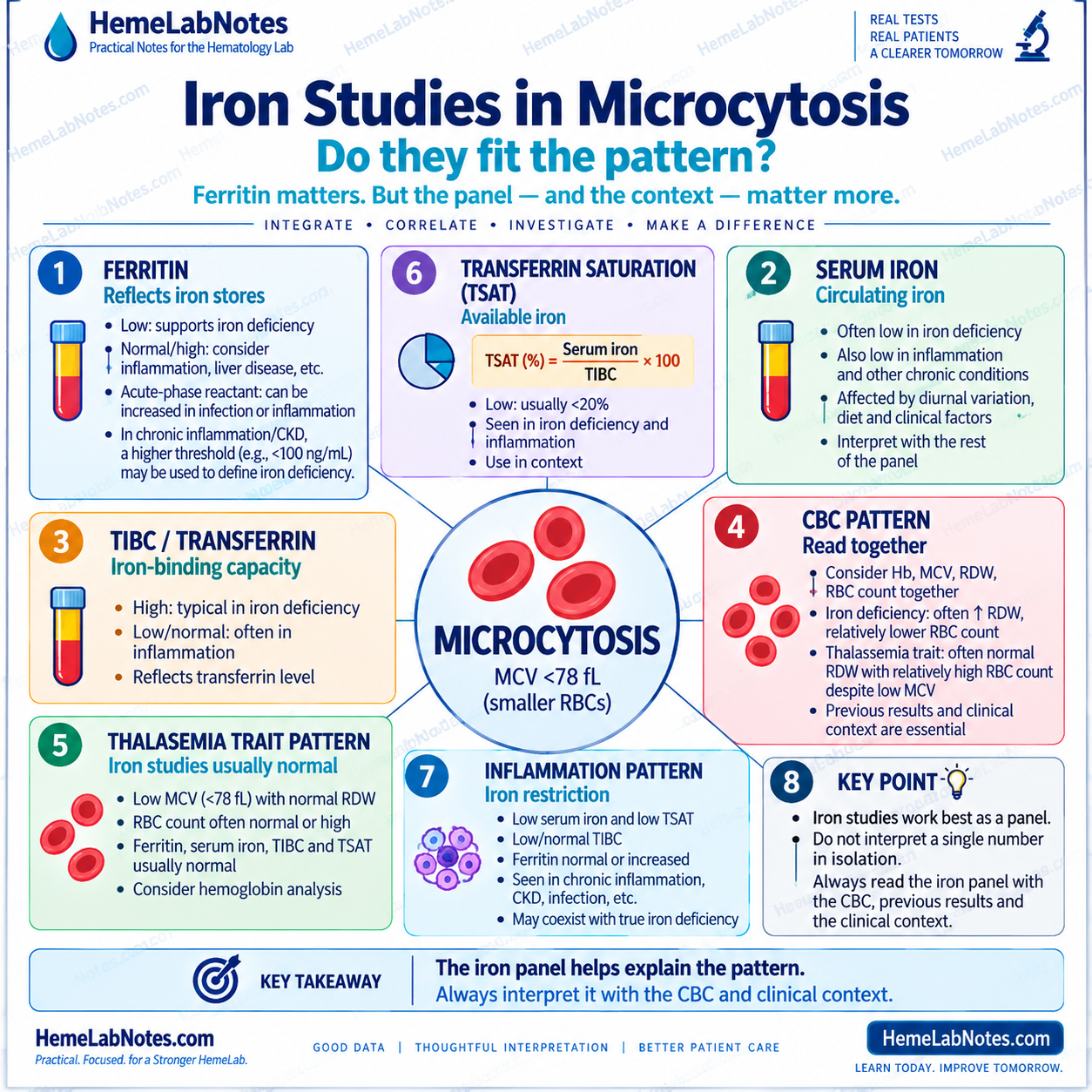 Iron studies in microcytosis showing ferritin, serum iron, TIBC/transferrin, transferrin saturation, CBC pattern, thalassemia-type pattern, and inflammatory iron restriction.