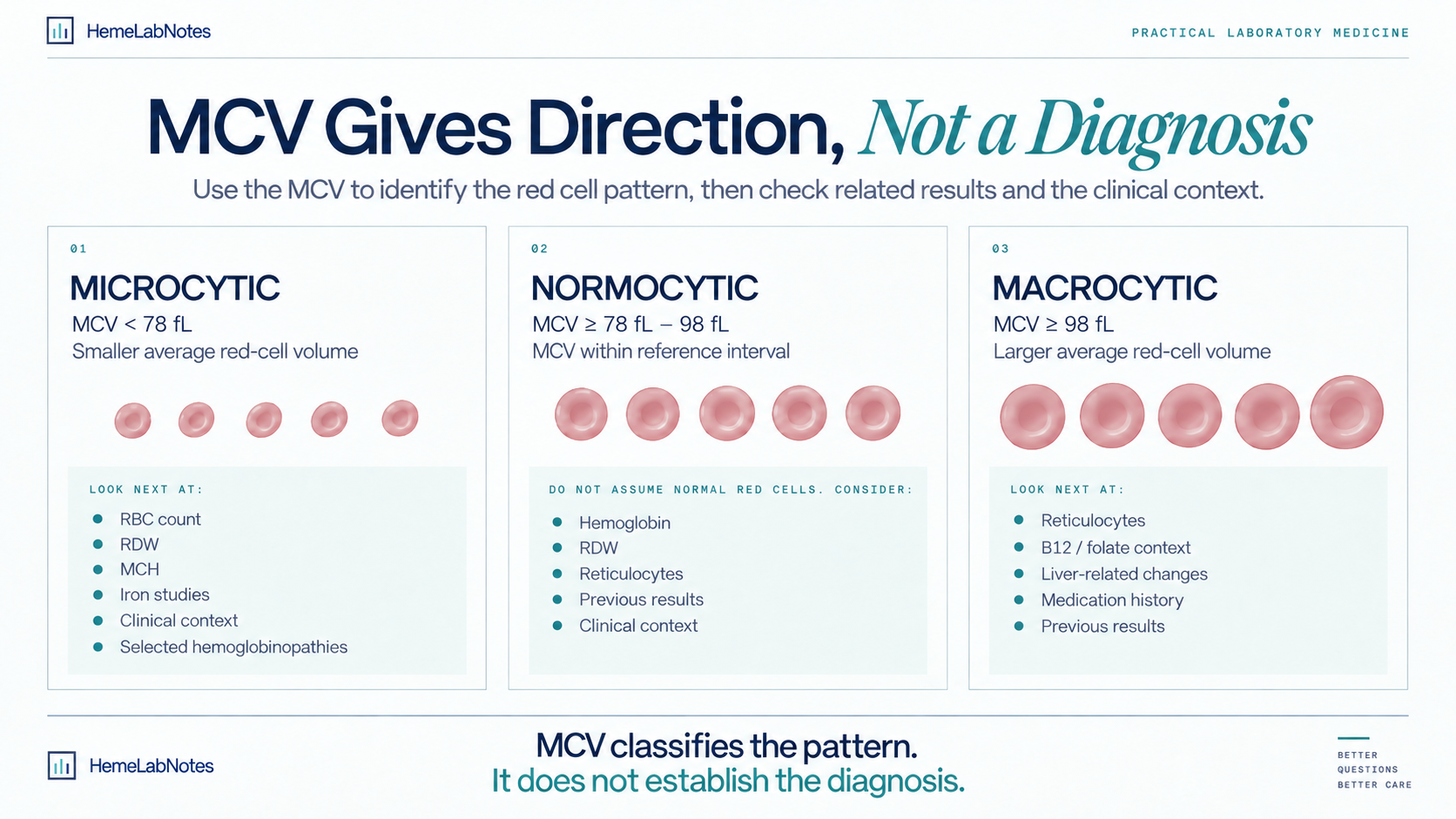 MCV classification infographic comparing microcytic, normocytic, and macrocytic red-cell patterns and related laboratory parameters.