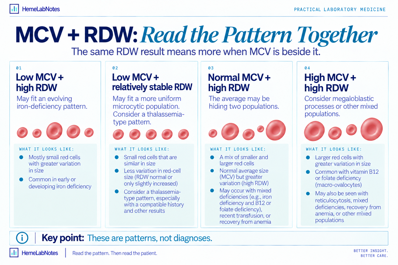 MCV and RDW pattern guide comparing low MCV with high RDW, low MCV with relatively stable RDW, normal MCV with high RDW, and high MCV with high RDW.
