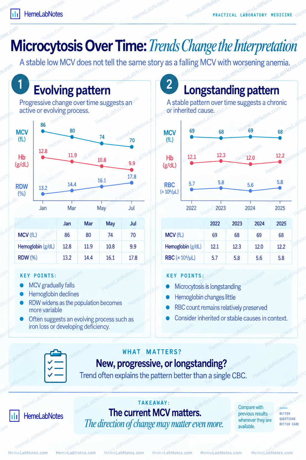 Comparison of evolving microcytosis with falling MCV and hemoglobin versus longstanding stable microcytosis with a preserved RBC count.