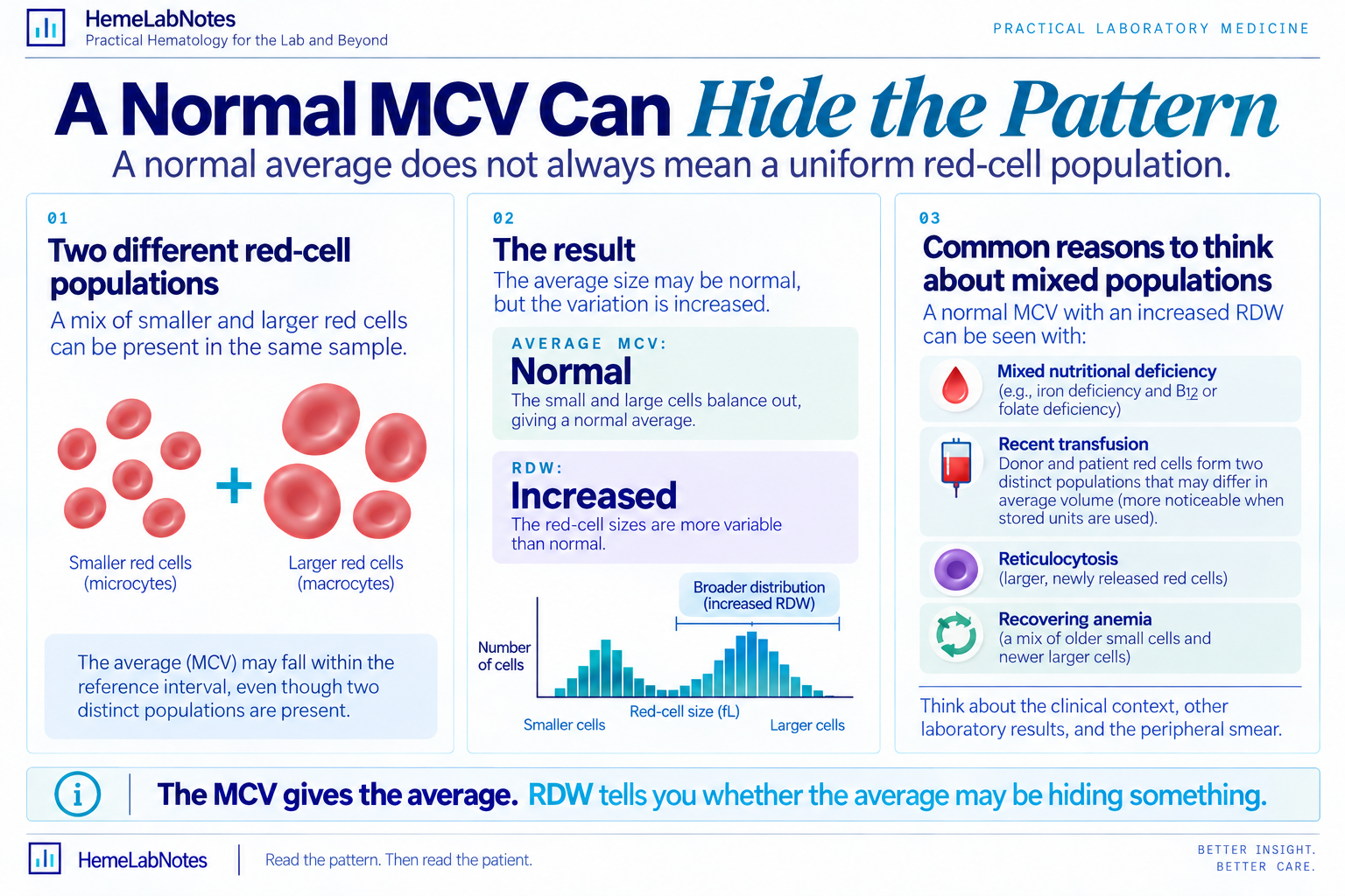 Infographic showing how smaller and larger red-cell populations can produce a normal average MCV while RDW is increased, including mixed nutritional deficiency, transfusion, reticulocytosis, and recovery from anemia.