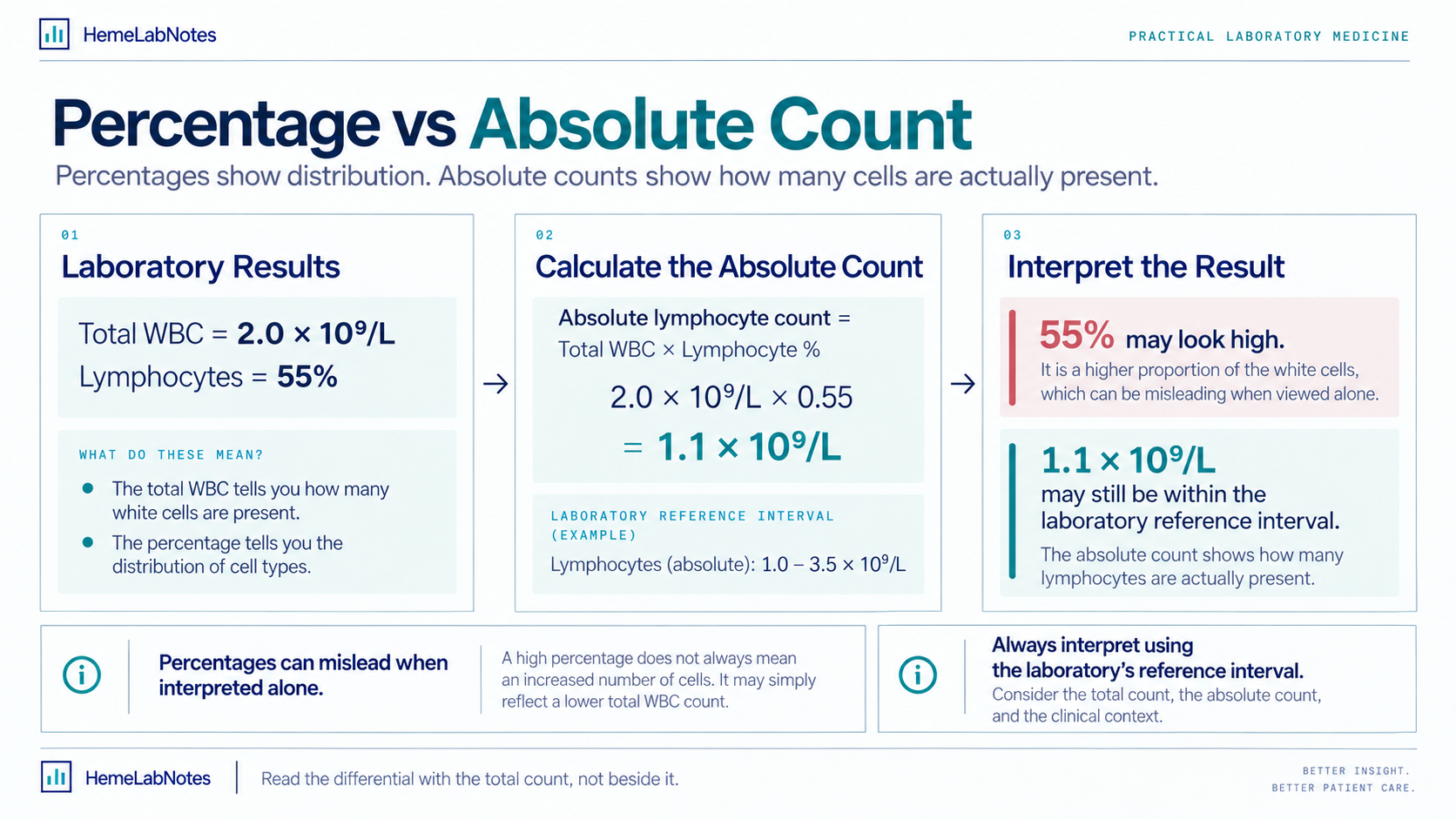 White blood cell infographic showing the difference between differential percentage and absolute lymphocyte count.