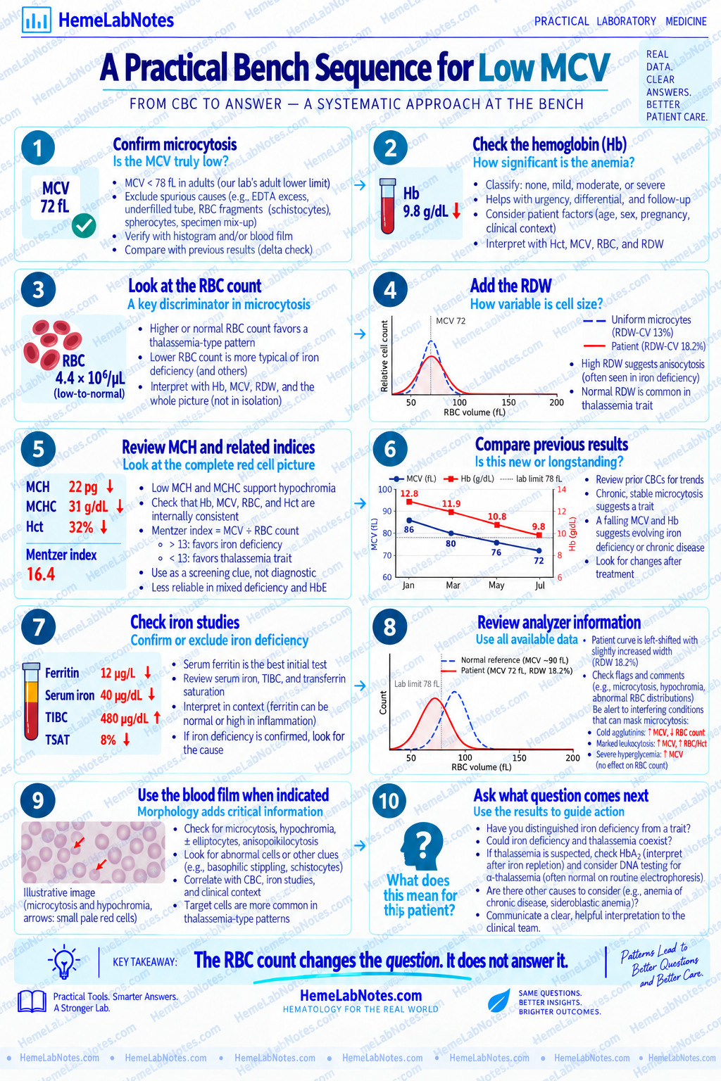 Stepwise laboratory bench approach for evaluating low MCV and interpreting RBC count in context.