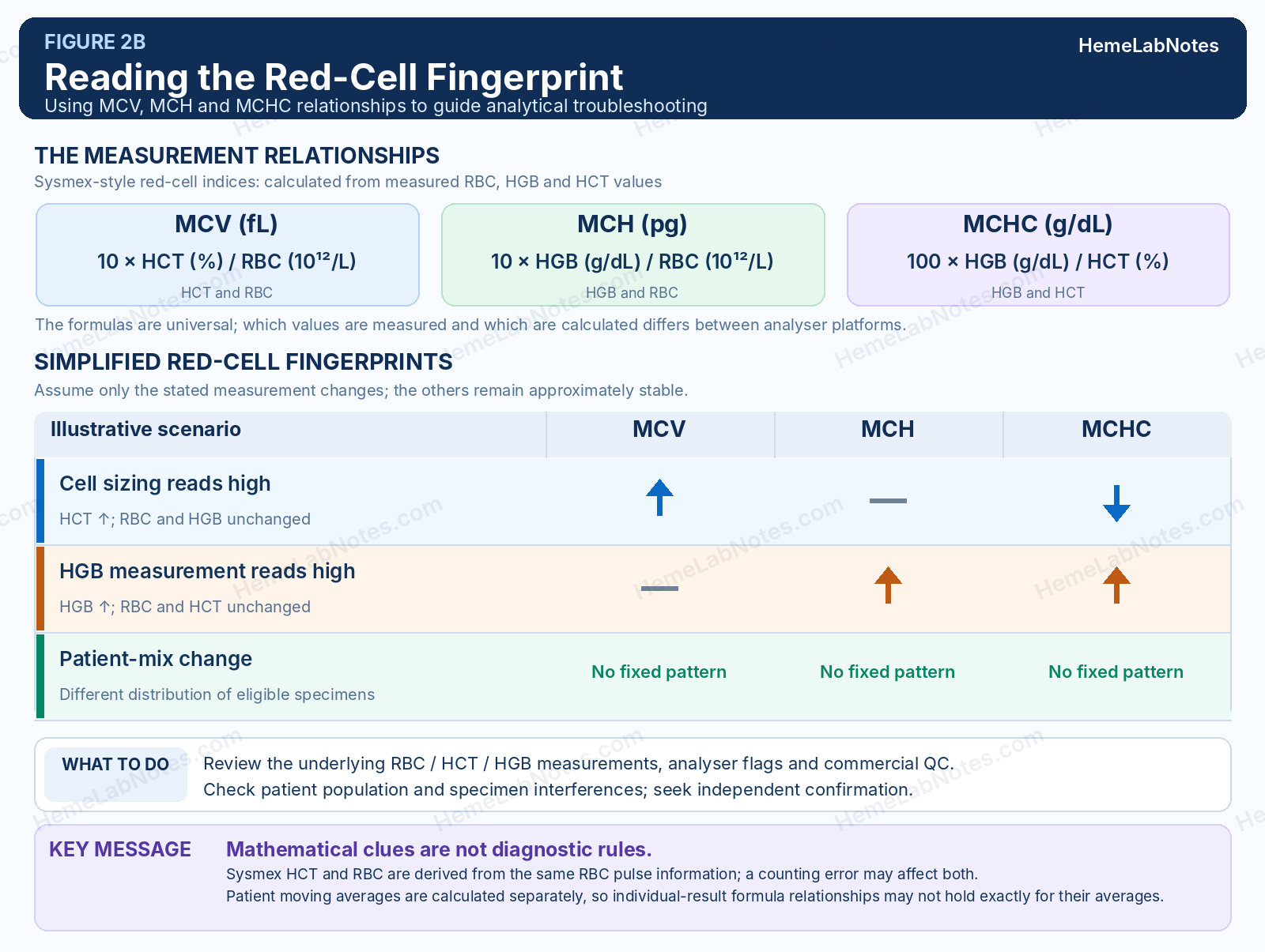 Table of simplified red-cell fingerprints. MCV = 10 × HCT / RBC, MCH = 10 × HGB / RBC, MCHC = 100 × HGB / HCT. If cell sizing reads high, MCV rises, MCH is unchanged and MCHC falls. If HGB reads high, MCV is unchanged while MCH and MCHC rise. A patient-mix change has no fixed pattern. These are mathematical clues, not diagnostic rules.