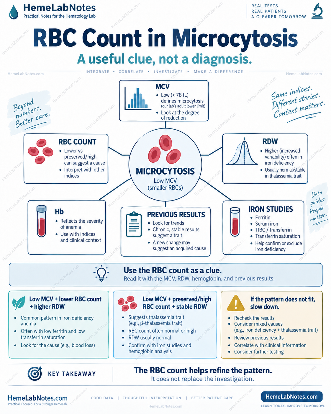 Overview of RBC count interpretation in microcytosis using MCV, RDW, hemoglobin, previous results, and iron studies.