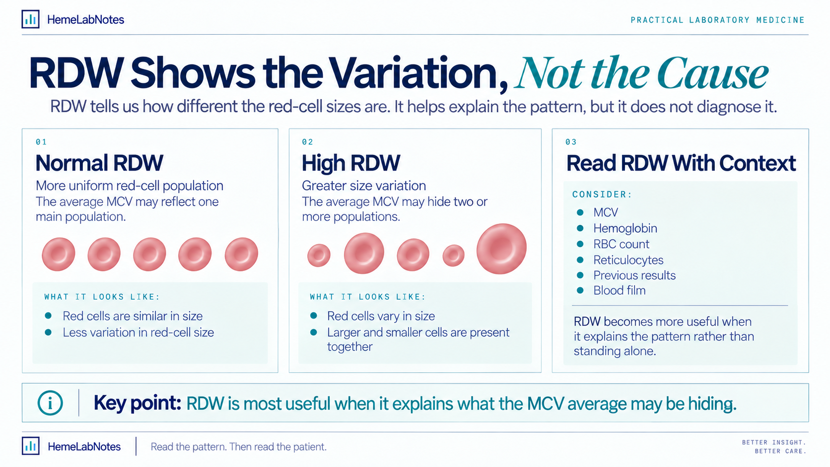 RDW infographic comparing a relatively uniform red-cell population with increased red-cell size variation and showing the laboratory parameters that should be interpreted alongside RDW.