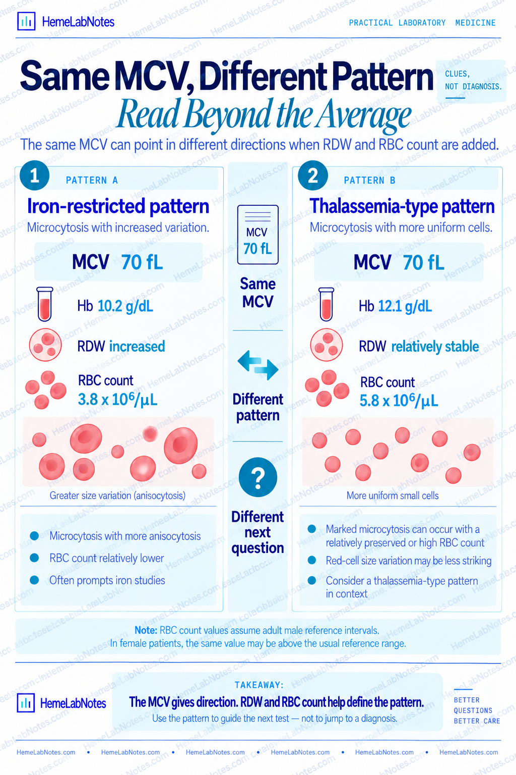 Two microcytic CBC patterns with the same MCV but different RDW and RBC counts, comparing an iron-restricted pattern with a thalassemia-type pattern.