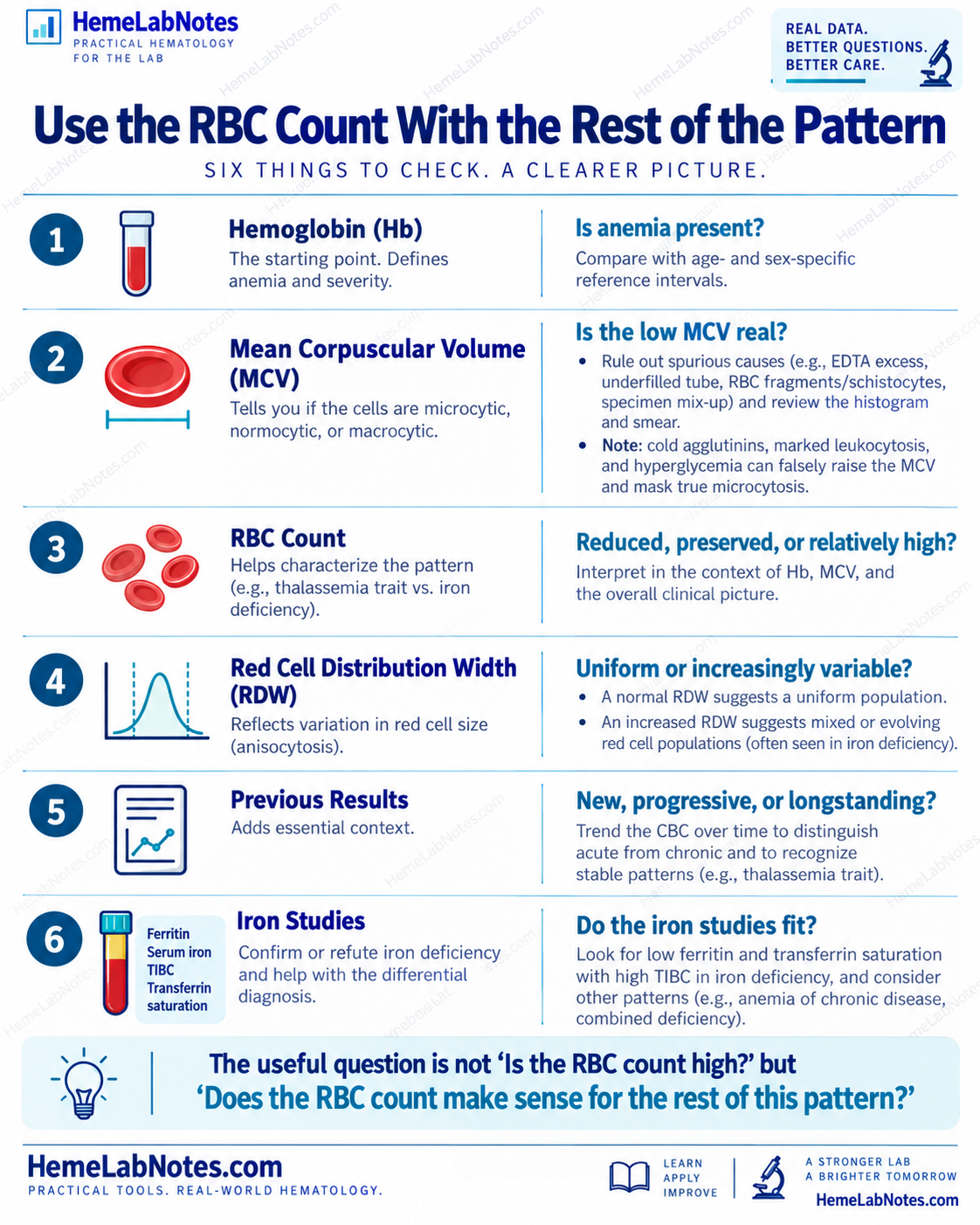 Six-part framework for interpreting RBC count with hemoglobin, MCV, RDW, previous results, and iron studies.