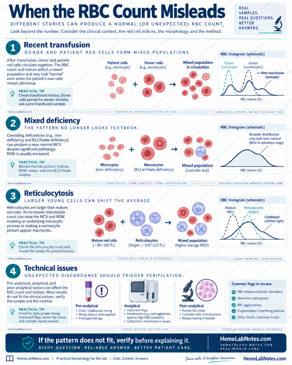 Situations that complicate RBC count interpretation including transfusion, mixed deficiency, reticulocytosis, and technical issues.